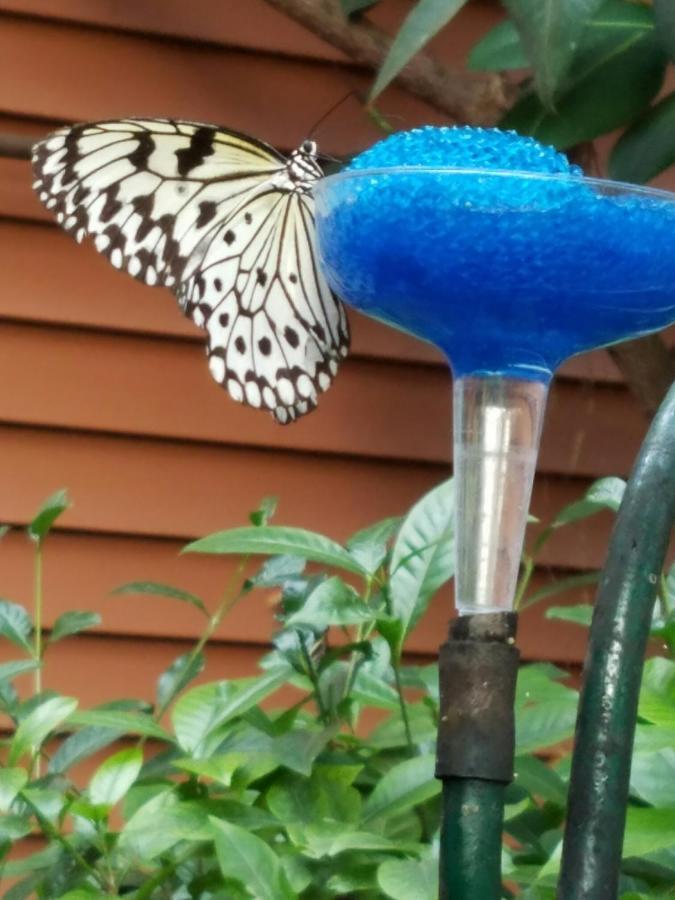 Northfield Centennial House Bed And Breakfast מראה חיצוני תמונה